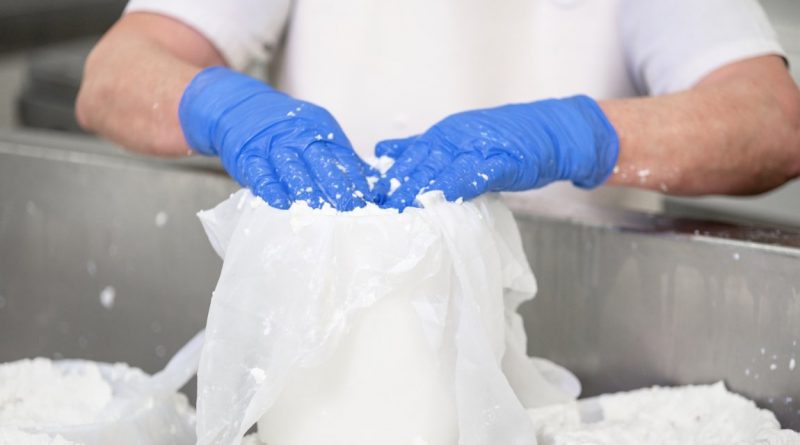 Origen Queso de Burgos